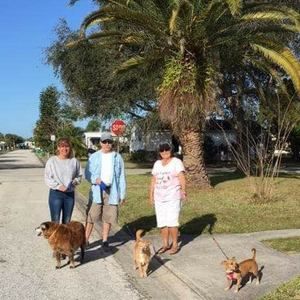 Meet your Posher, Judy